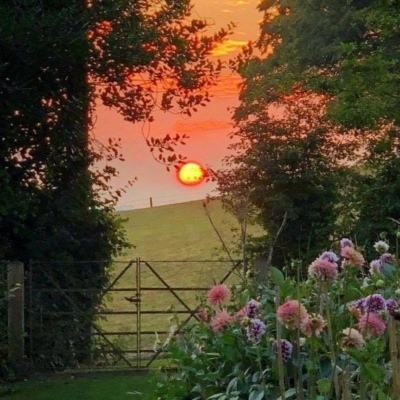 kaiyun全站APP登录官网