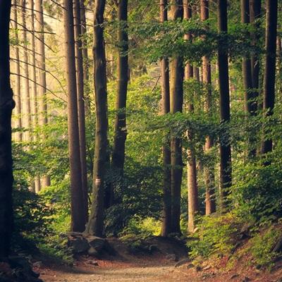 365体育官方唯一入口下载手机版