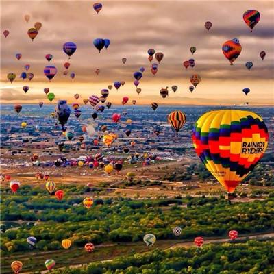 im电竞官方官网app下载