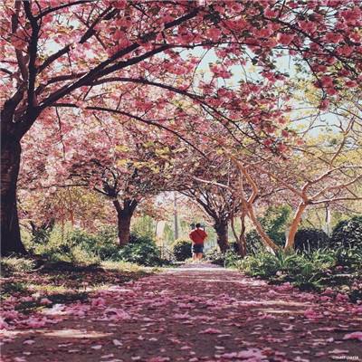 金年会app下载官网官方入口