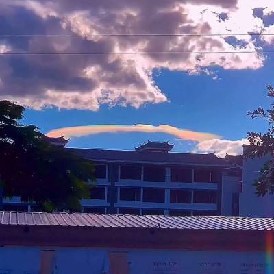 任你博下载手机版