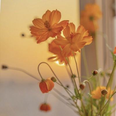 大发彩票官方官方平台app下载手机版