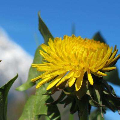 江南体育app下载方式最新