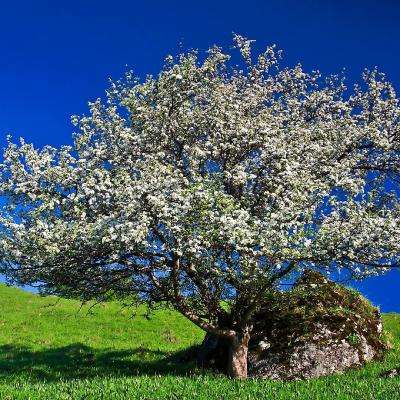 半岛.综合体育入口