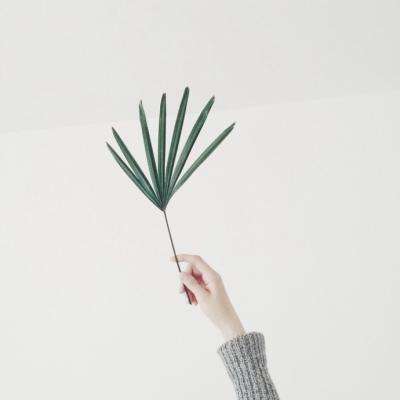 欢乐斗牛腾讯下载手机版