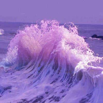 BO半岛综合app安全下载app下载